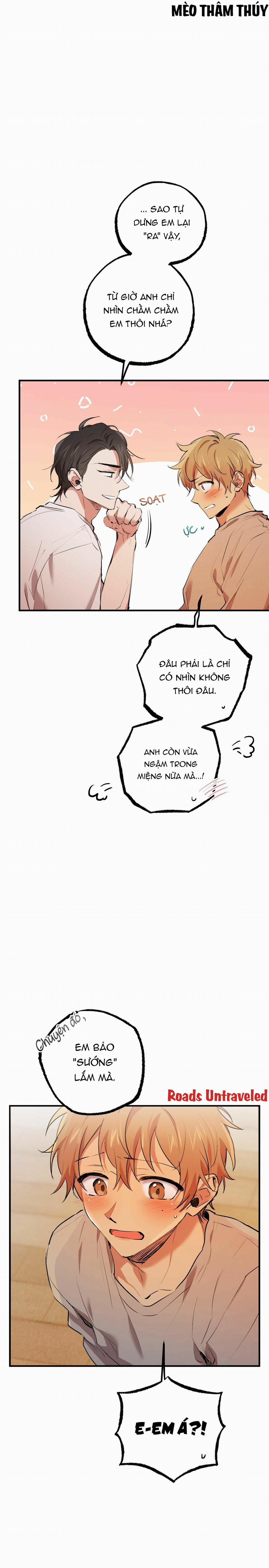 Những Chú Thỏ Của Habibi 33 trang 13