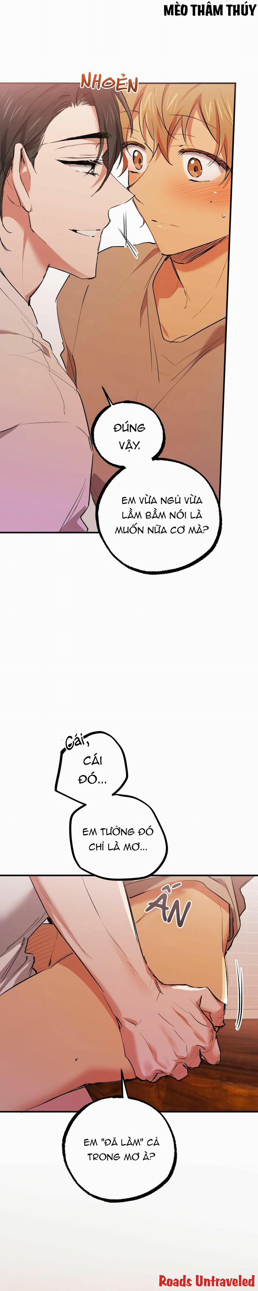 Những Chú Thỏ Của Habibi 33 trang 14