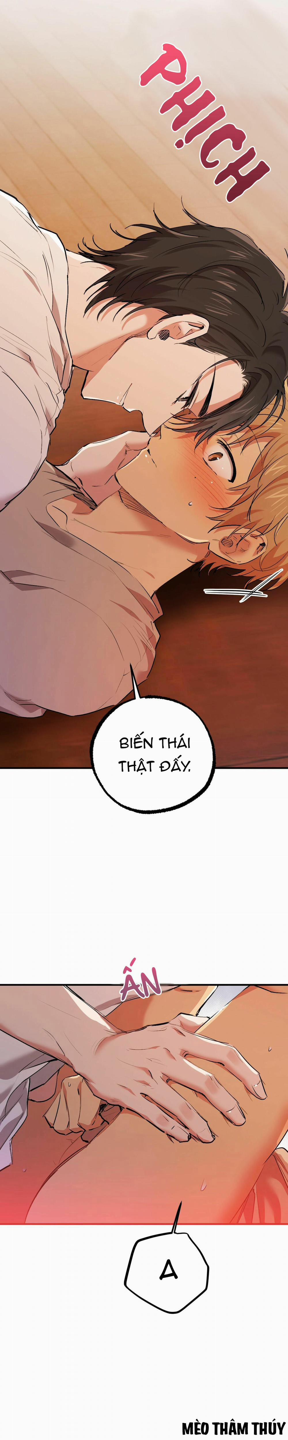 Những Chú Thỏ Của Habibi 33 trang 15