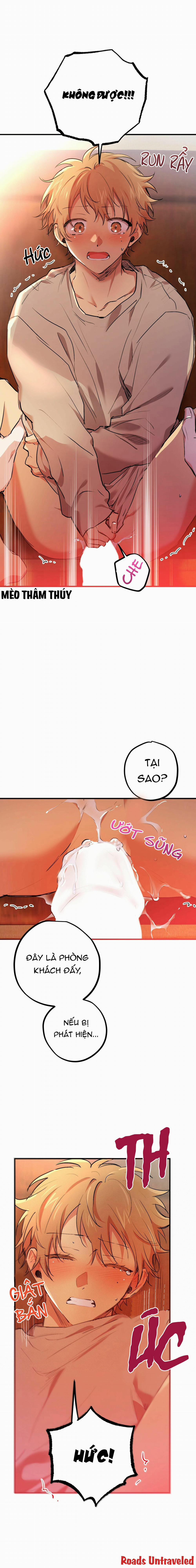 Những Chú Thỏ Của Habibi 33 trang 16