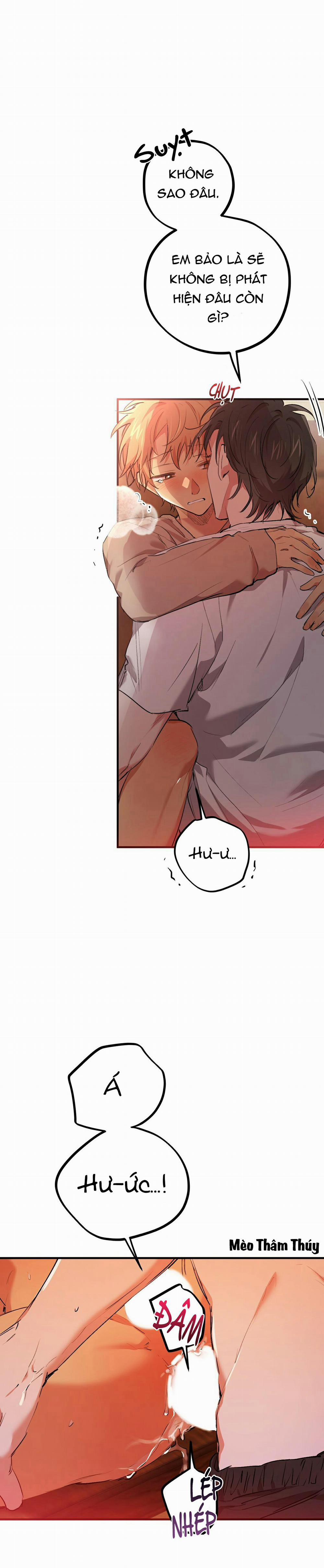 Những Chú Thỏ Của Habibi 33 trang 17