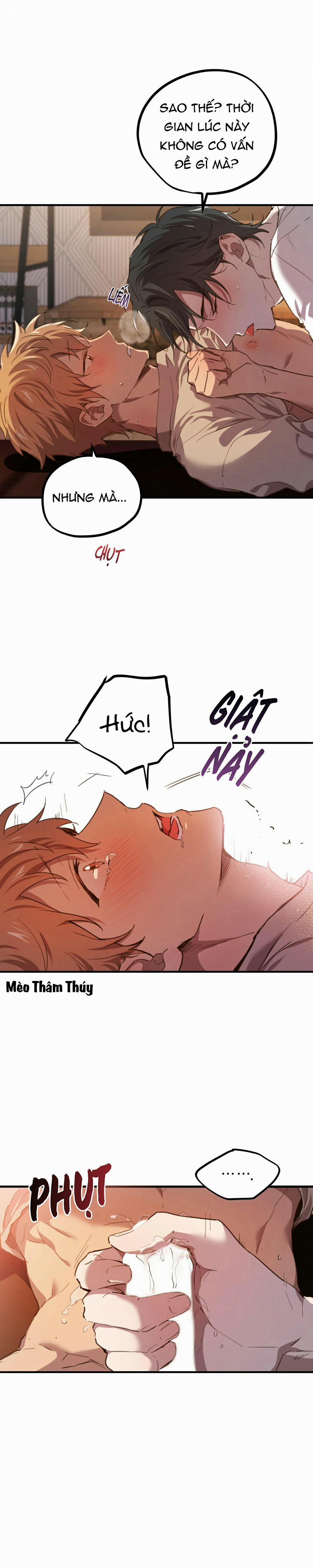 Những Chú Thỏ Của Habibi 33 trang 19