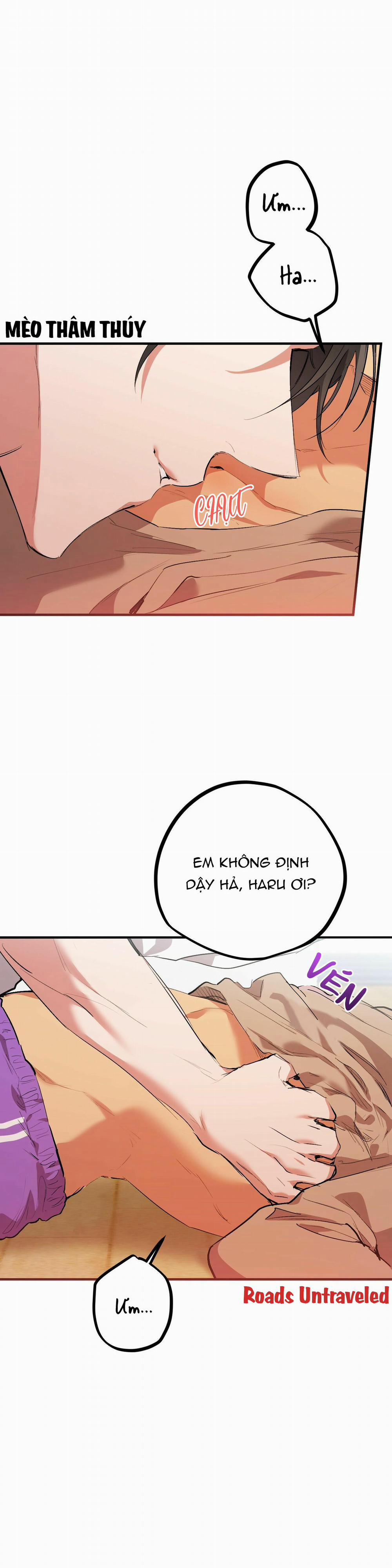 Những Chú Thỏ Của Habibi 33 trang 2