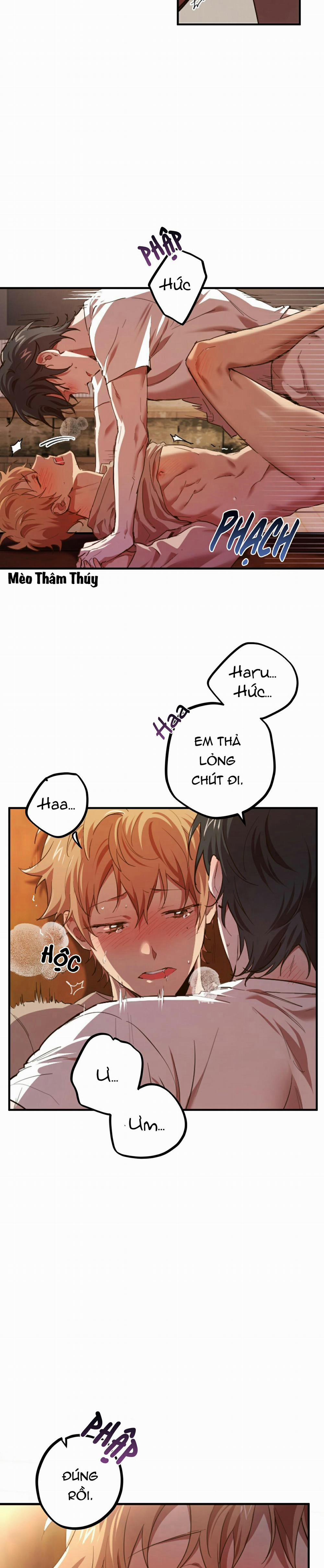 Những Chú Thỏ Của Habibi 33 trang 21