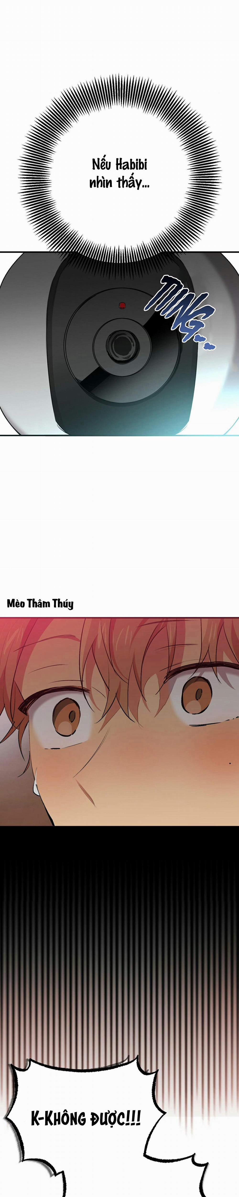 Những Chú Thỏ Của Habibi 33 trang 23