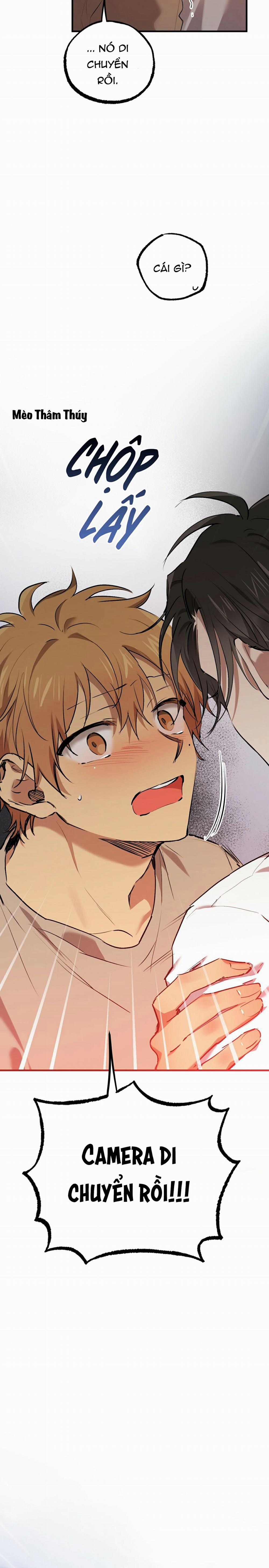 Những Chú Thỏ Của Habibi 33 trang 25