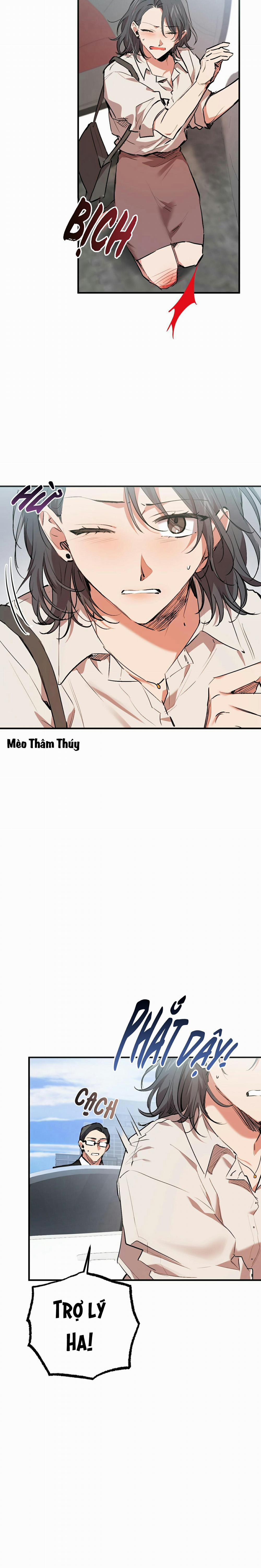 Những Chú Thỏ Của Habibi 33 trang 27