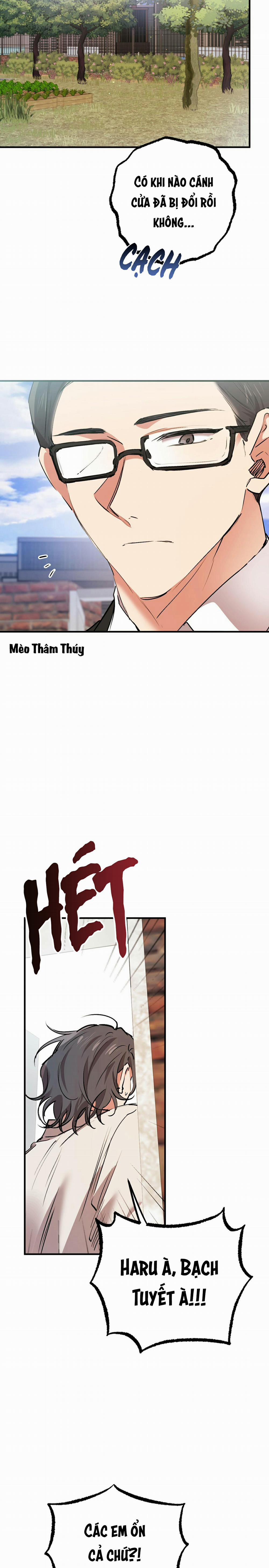 Những Chú Thỏ Của Habibi 33 trang 29