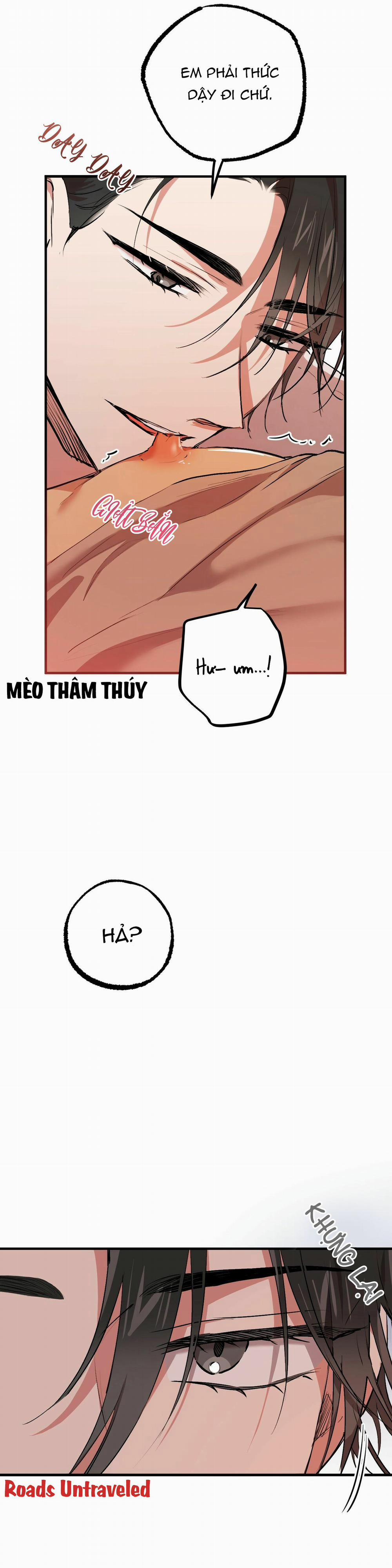 Những Chú Thỏ Của Habibi 33 trang 3