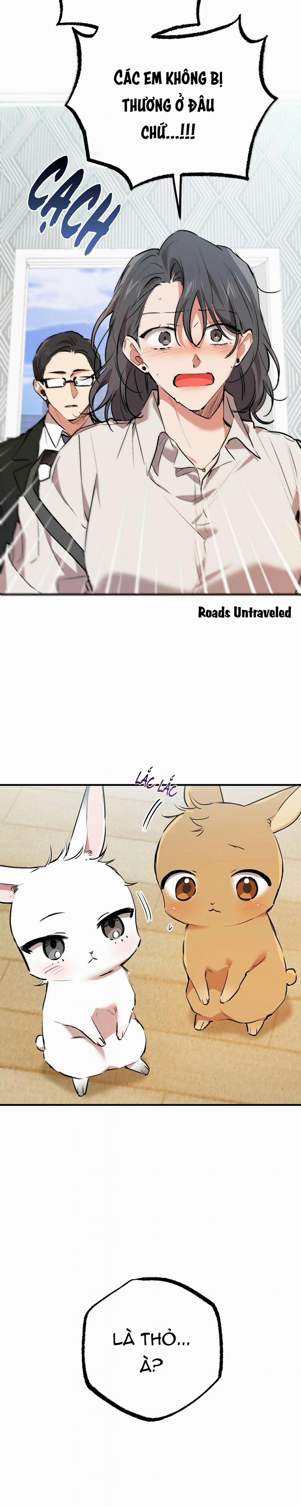 Những Chú Thỏ Của Habibi 33 trang 30