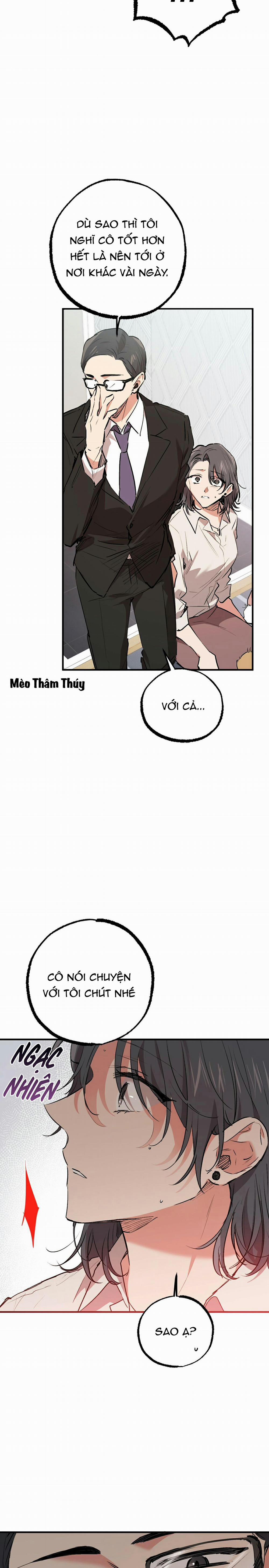 Những Chú Thỏ Của Habibi 33 trang 33