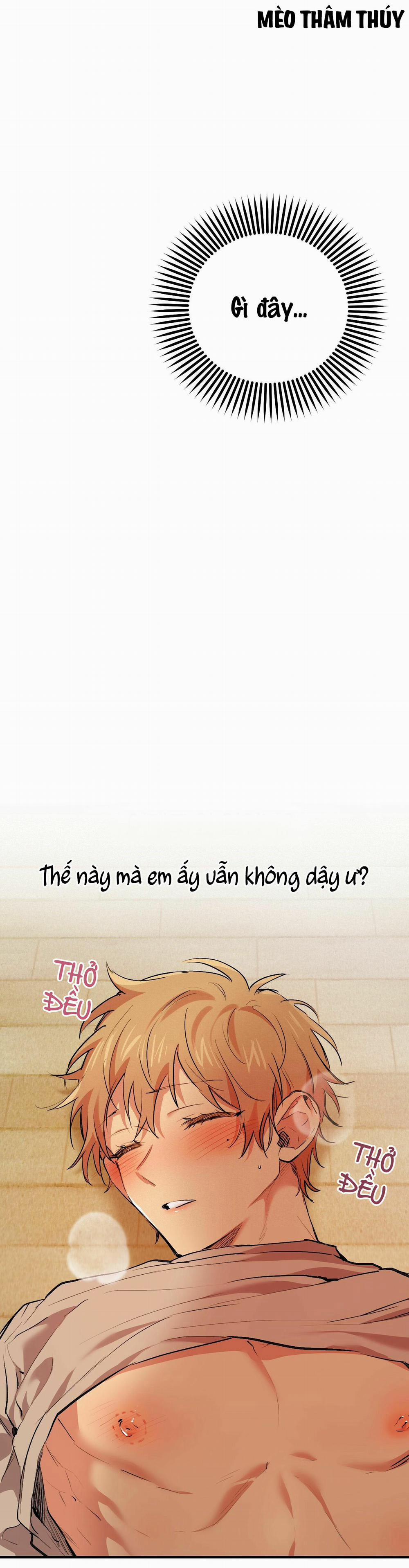 Những Chú Thỏ Của Habibi 33 trang 4