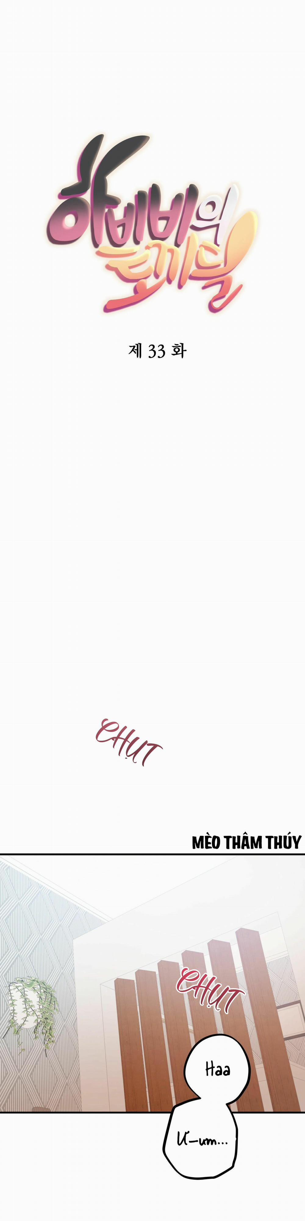 Những Chú Thỏ Của Habibi 33 trang 7