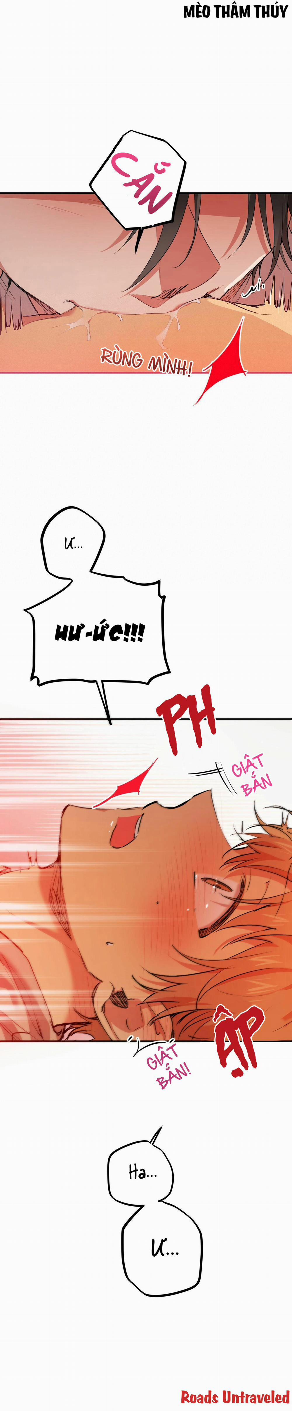 Những Chú Thỏ Của Habibi 33 trang 9