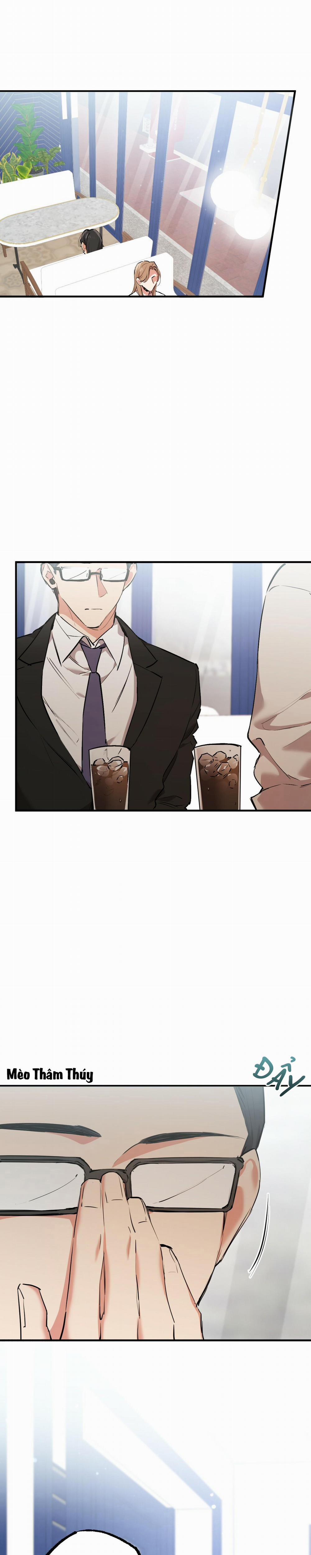 Những Chú Thỏ Của Habibi 34 trang 0