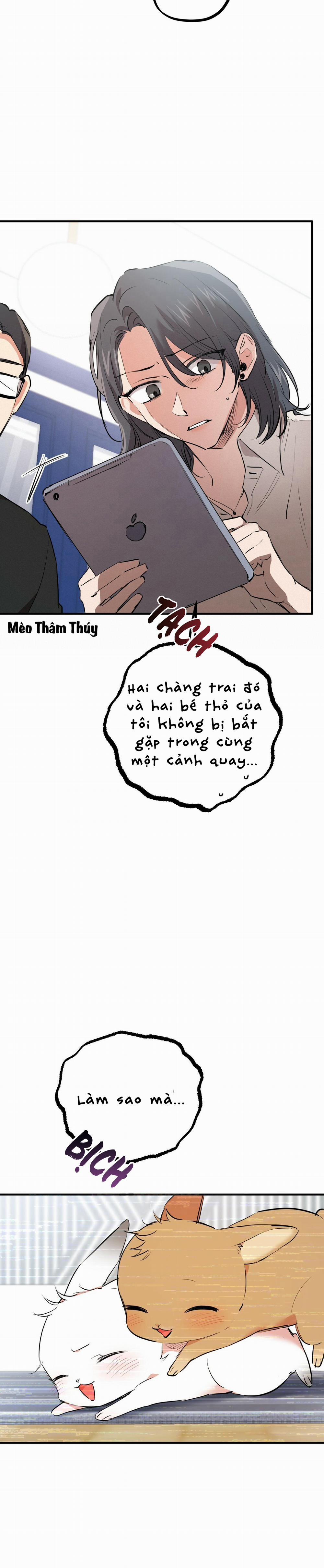 Những Chú Thỏ Của Habibi 34 trang 10