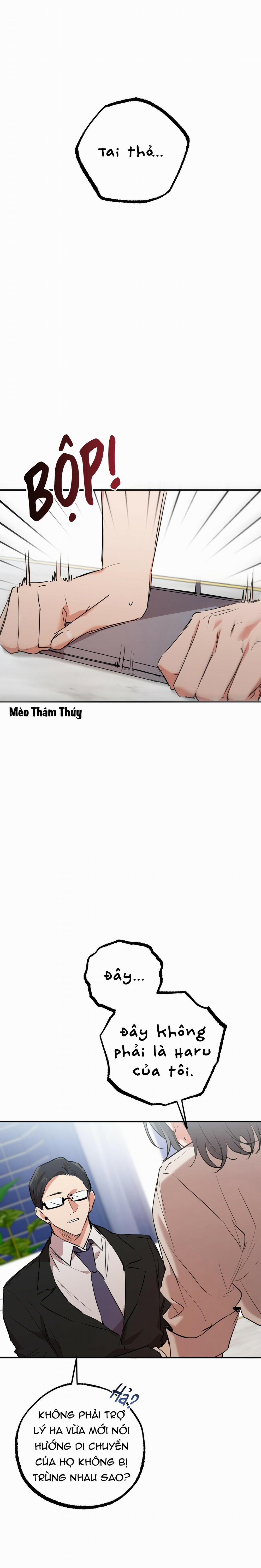 Những Chú Thỏ Của Habibi 34 trang 12