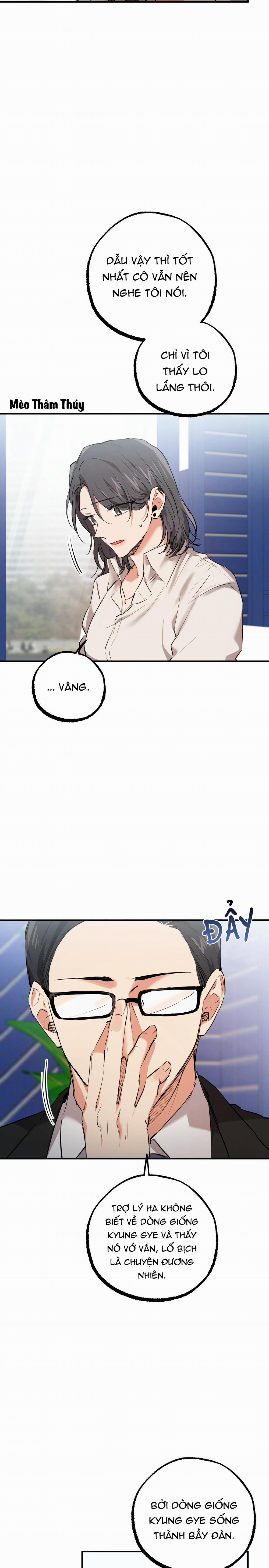 Những Chú Thỏ Của Habibi 34 trang 14