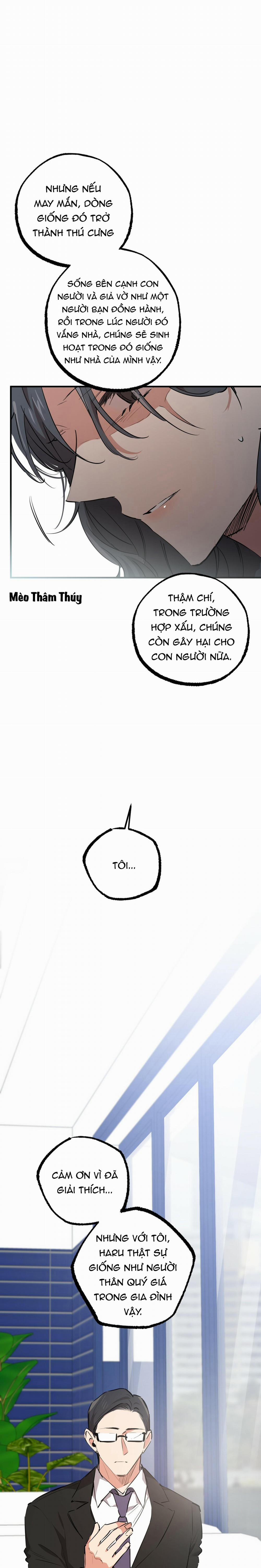 Những Chú Thỏ Của Habibi 34 trang 16