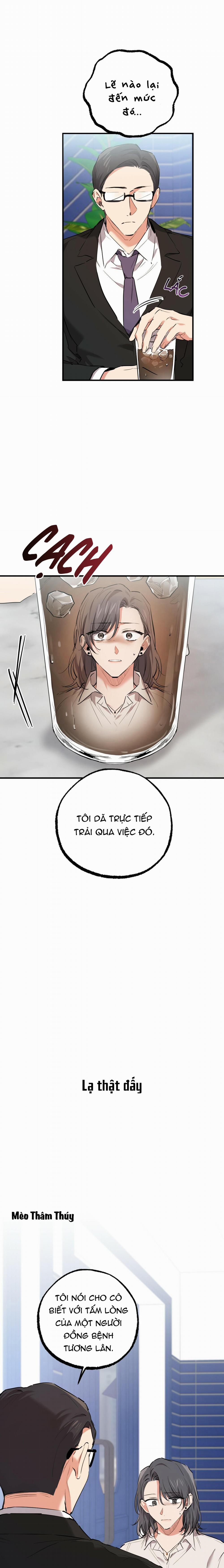 Những Chú Thỏ Của Habibi 34 trang 18