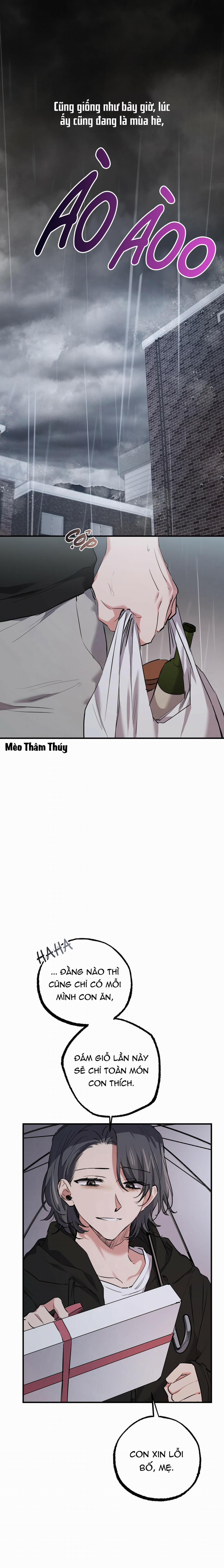 Những Chú Thỏ Của Habibi 34 trang 22