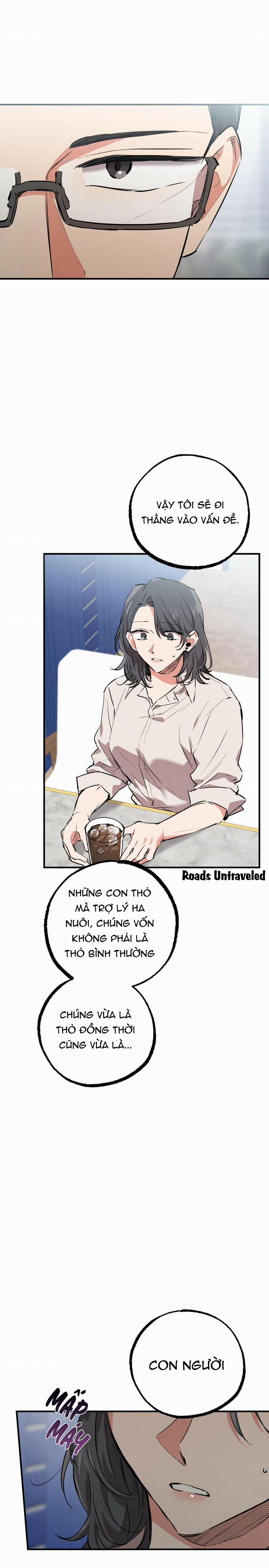 Những Chú Thỏ Của Habibi 34 trang 3