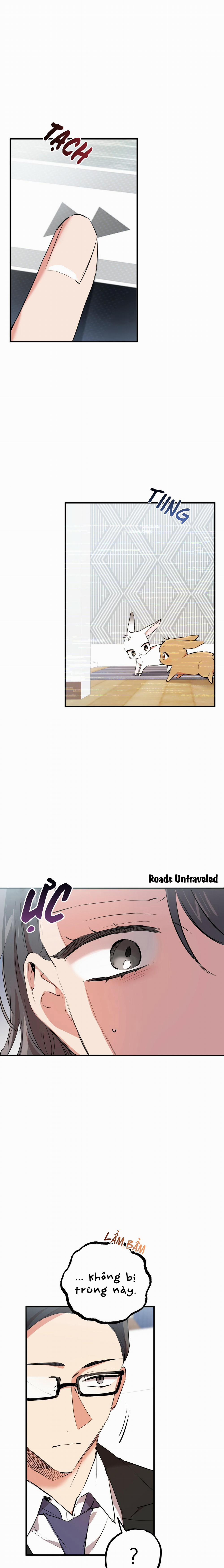 Những Chú Thỏ Của Habibi 34 trang 9