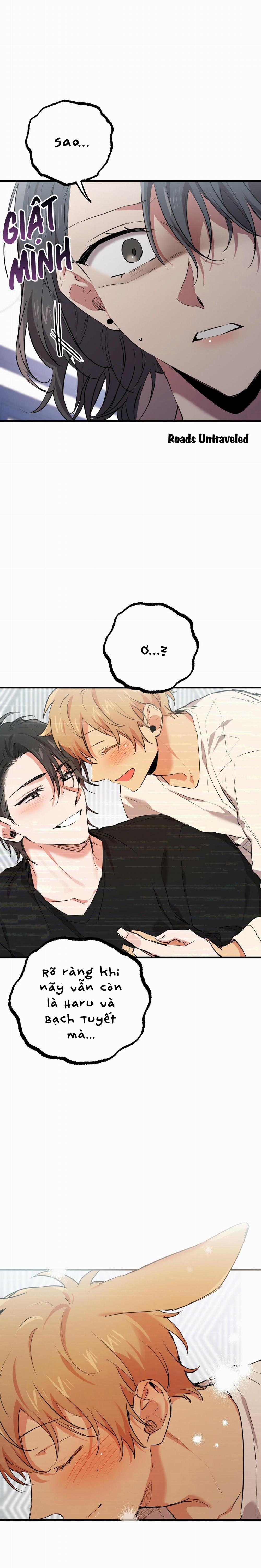 Những Chú Thỏ Của Habibi 35 trang 11