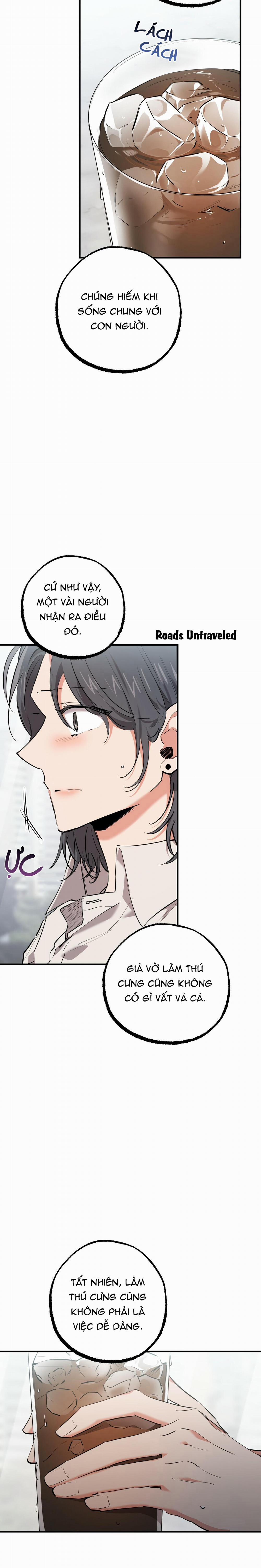 Những Chú Thỏ Của Habibi 35 trang 15