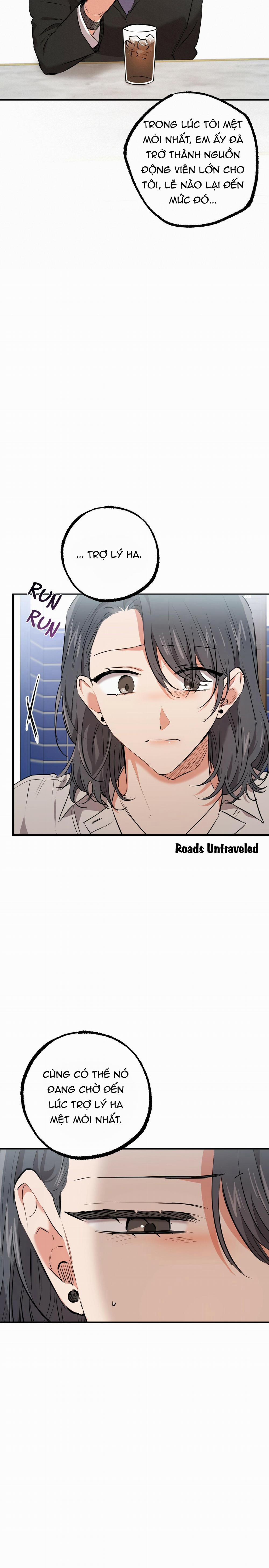 Những Chú Thỏ Của Habibi 35 trang 17