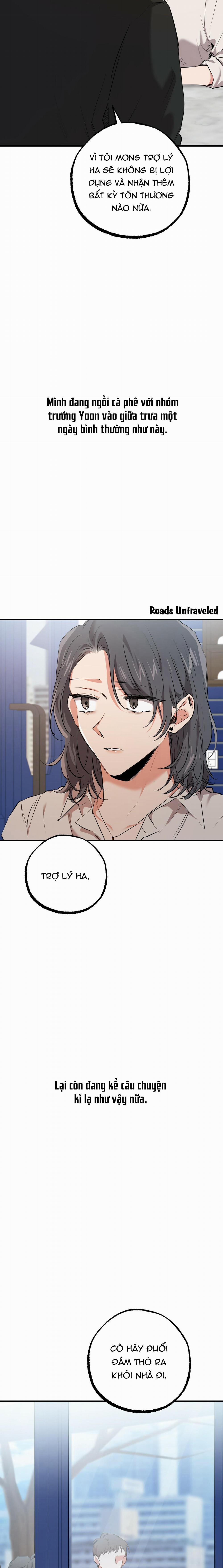 Những Chú Thỏ Của Habibi 35 trang 19