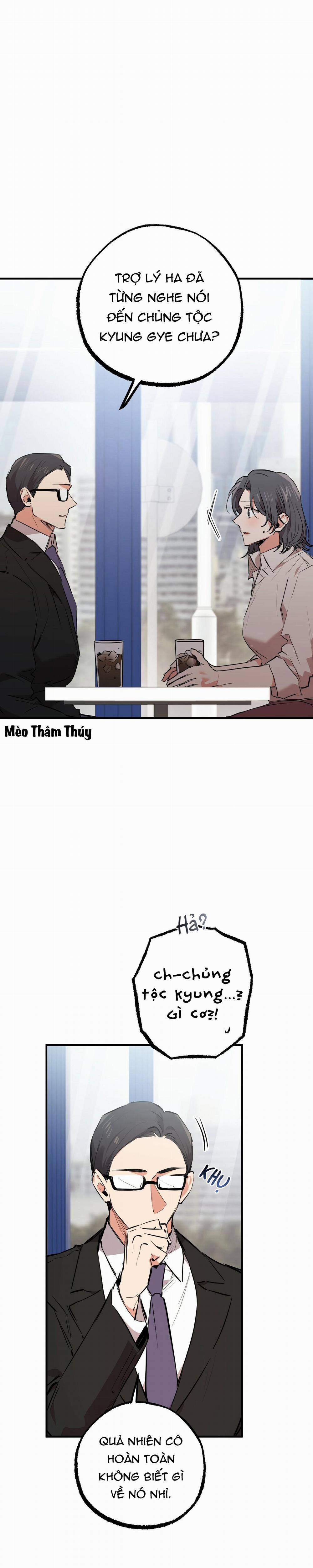 Những Chú Thỏ Của Habibi 35 trang 2