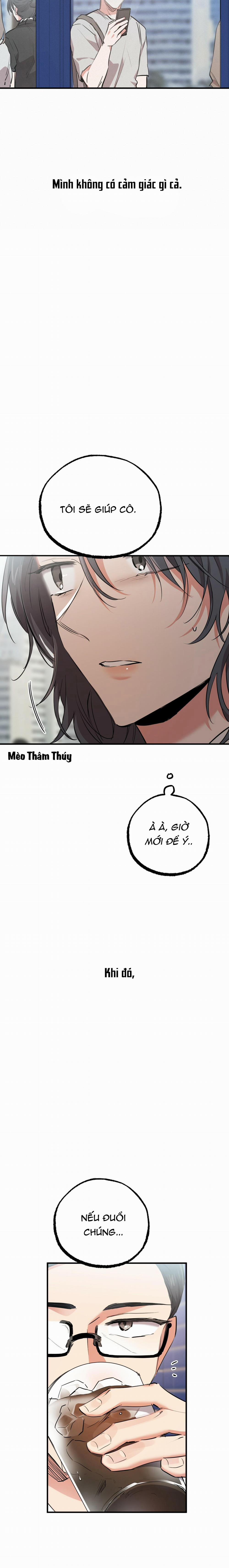 Những Chú Thỏ Của Habibi 35 trang 20