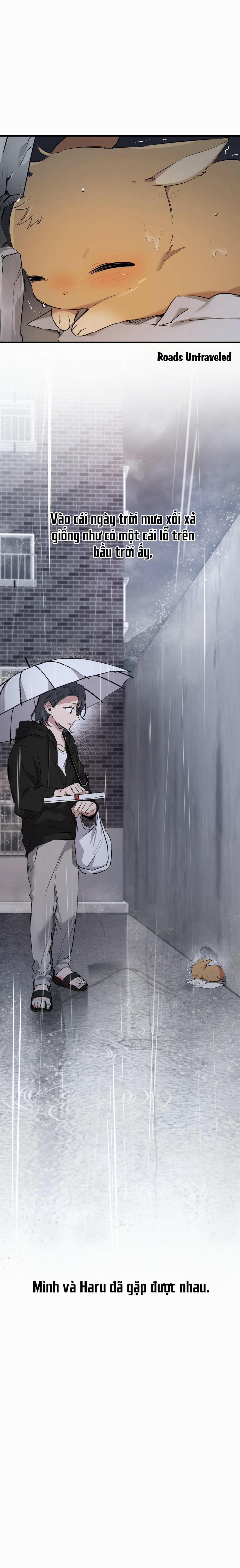 Những Chú Thỏ Của Habibi 35 trang 25