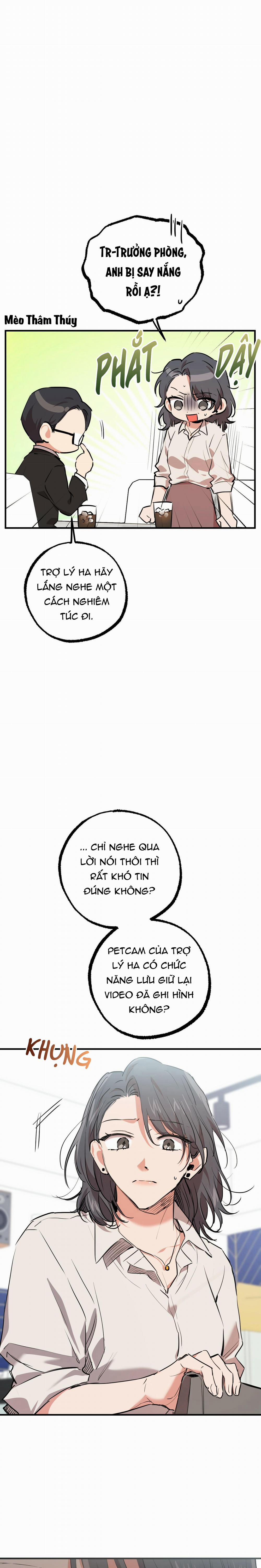 Những Chú Thỏ Của Habibi 35 trang 4