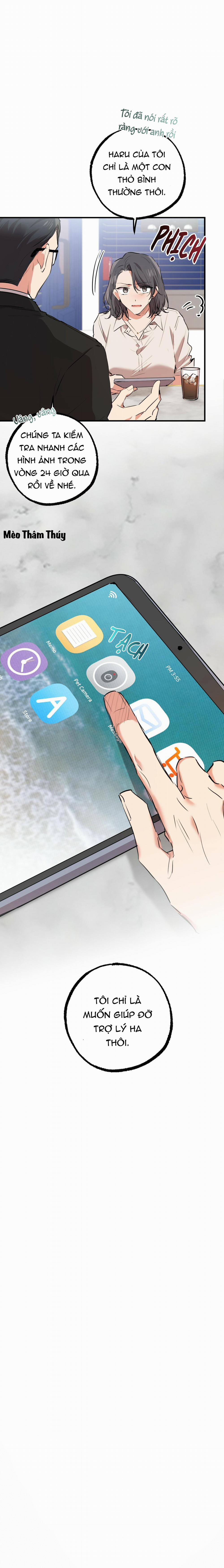 Những Chú Thỏ Của Habibi 35 trang 6