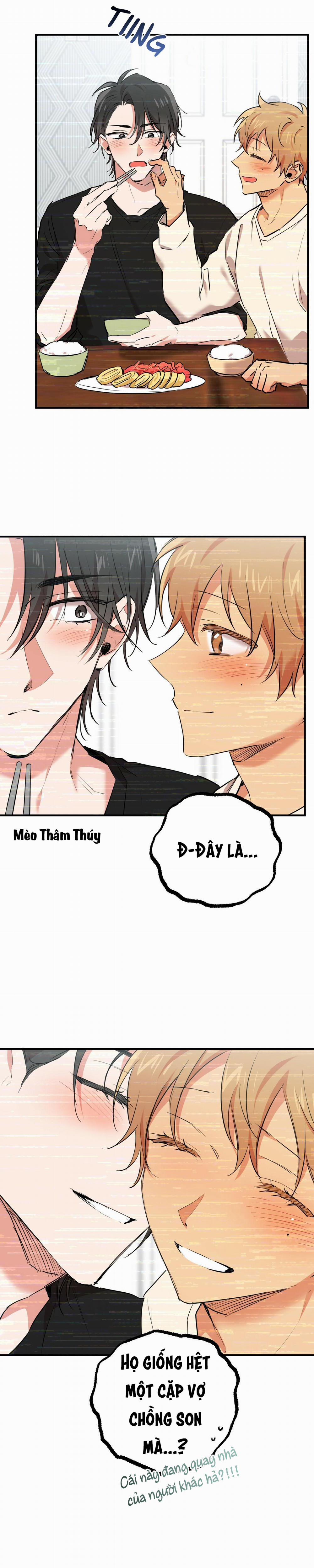 Những Chú Thỏ Của Habibi 35 trang 8