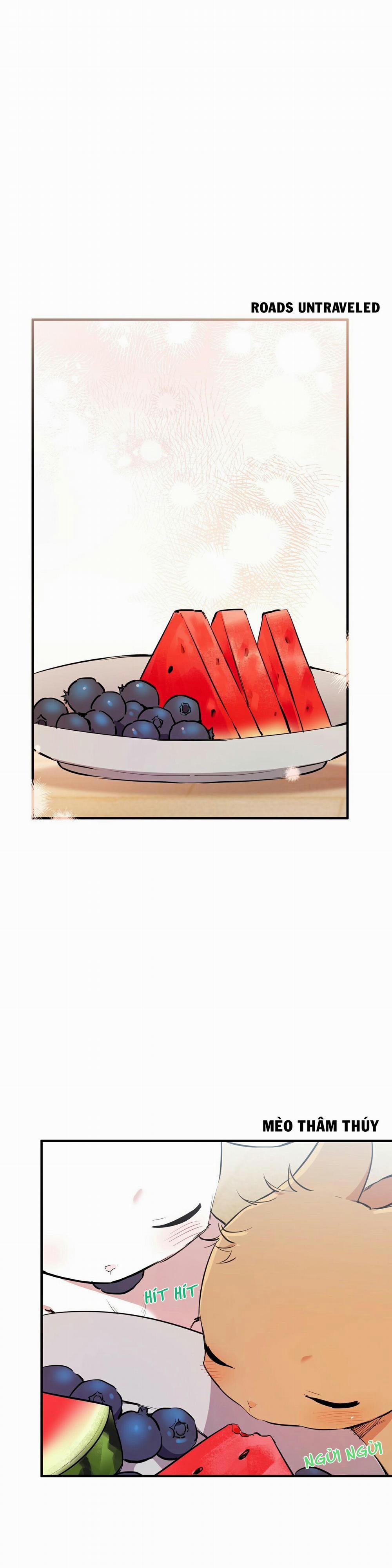 Những Chú Thỏ Của Habibi 36 trang 0