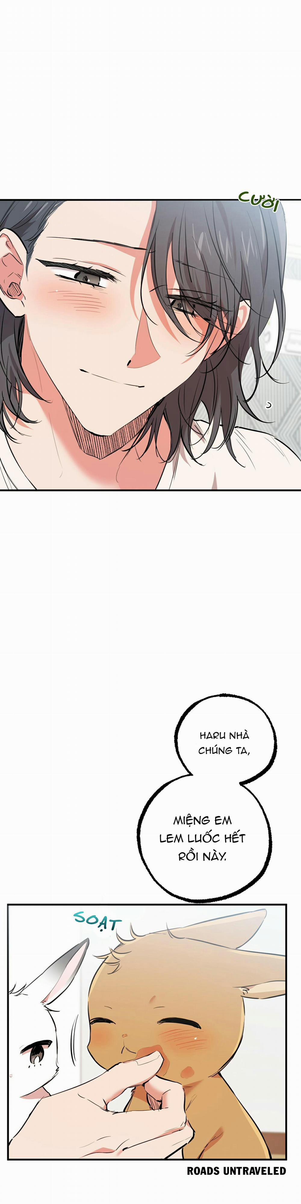 Những Chú Thỏ Của Habibi 36 trang 1