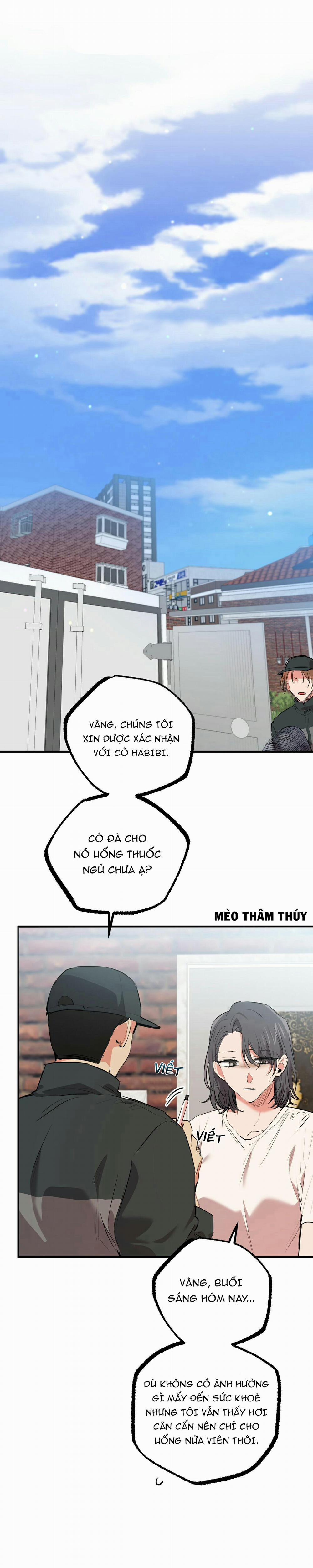 Những Chú Thỏ Của Habibi 36 trang 10