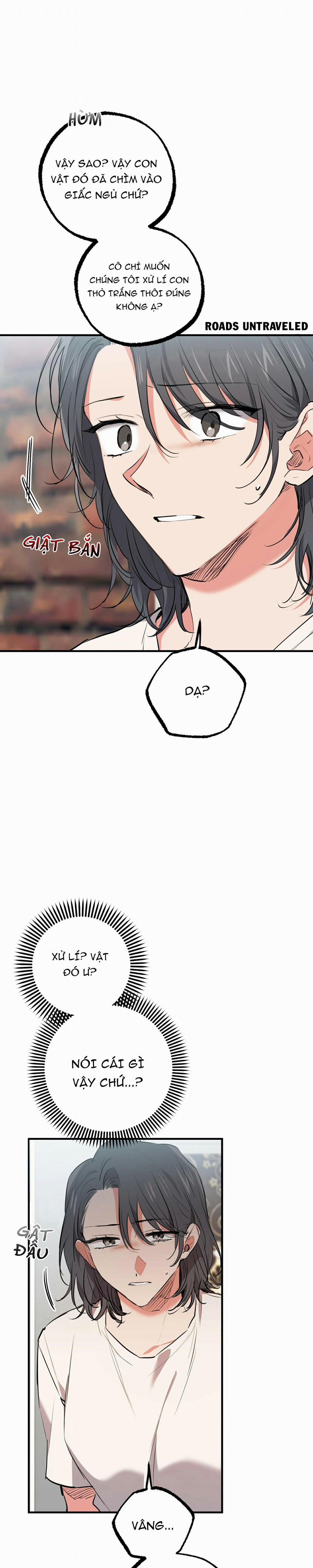 Những Chú Thỏ Của Habibi 36 trang 11