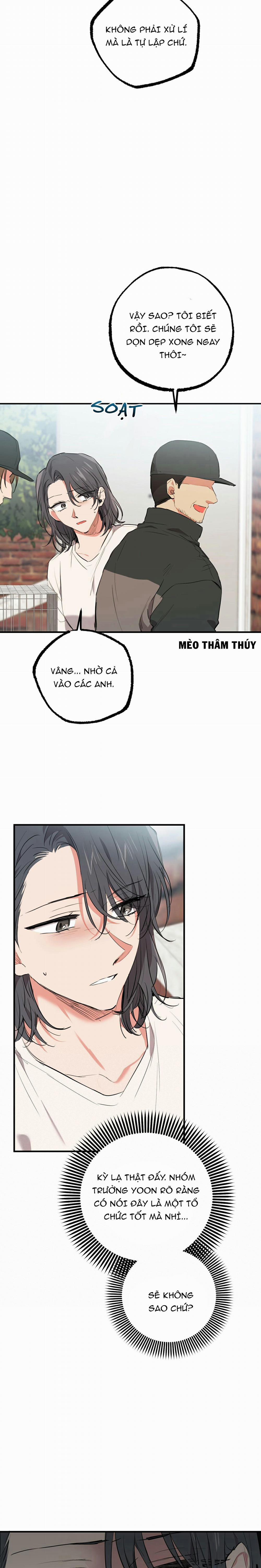 Những Chú Thỏ Của Habibi 36 trang 12