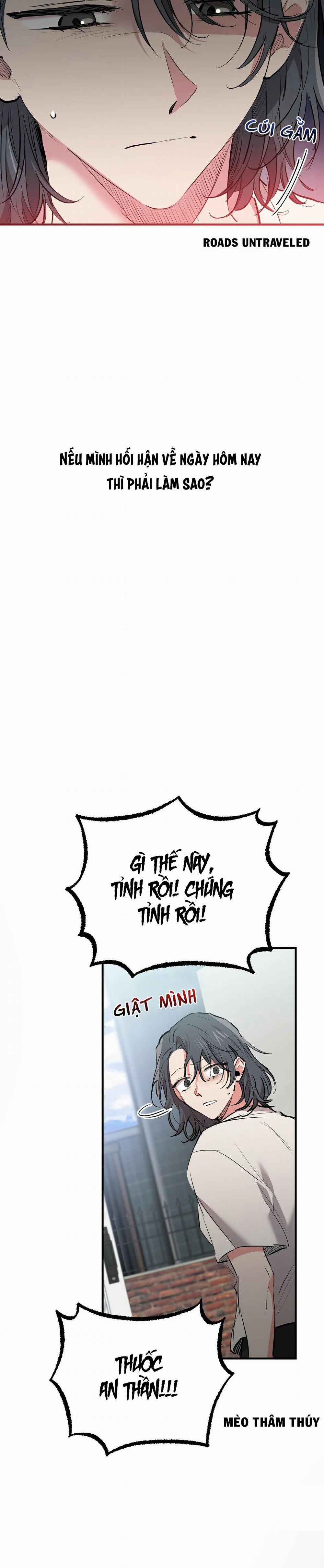 Những Chú Thỏ Của Habibi 36 trang 13