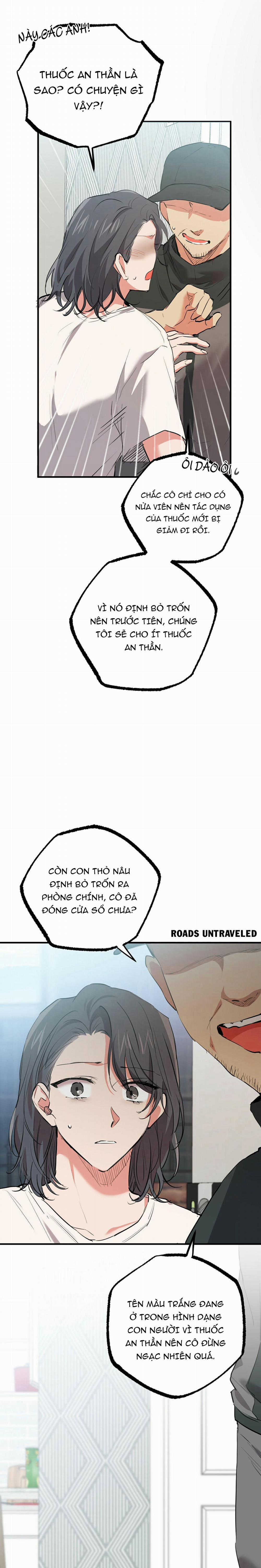 Những Chú Thỏ Của Habibi 36 trang 14