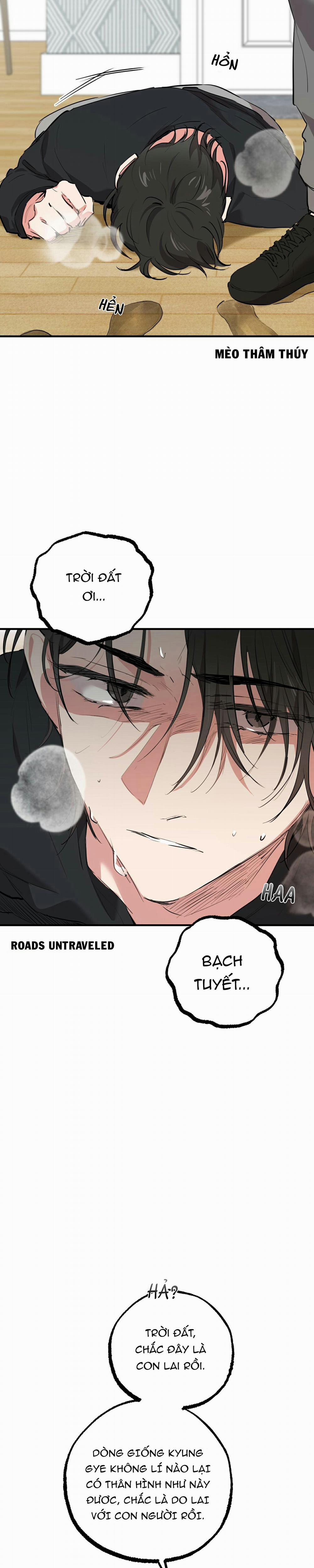 Những Chú Thỏ Của Habibi 36 trang 15