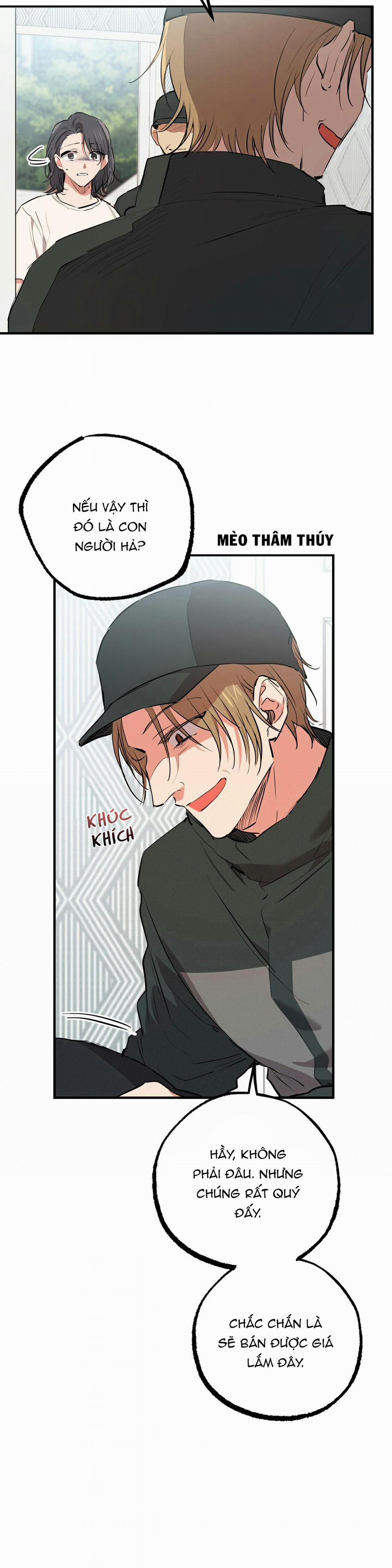 Những Chú Thỏ Của Habibi 36 trang 16