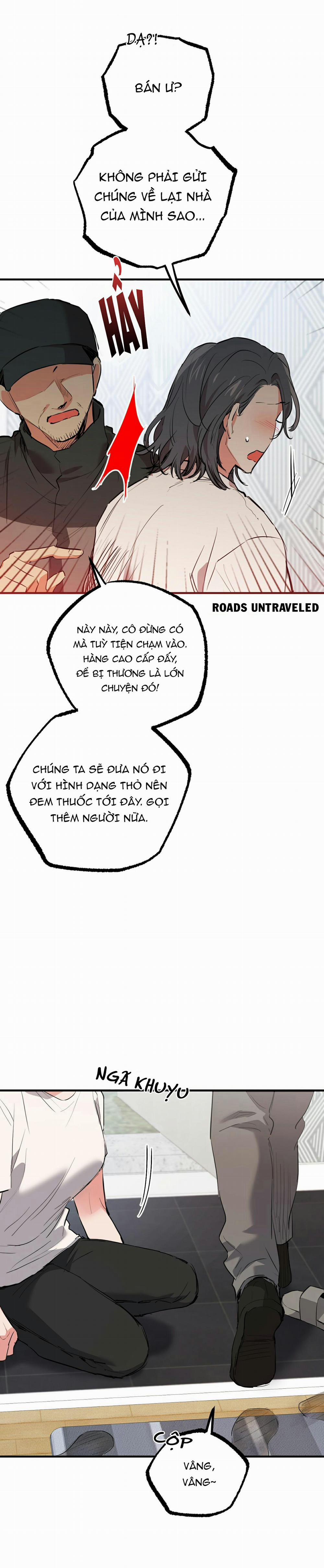 Những Chú Thỏ Của Habibi 36 trang 17