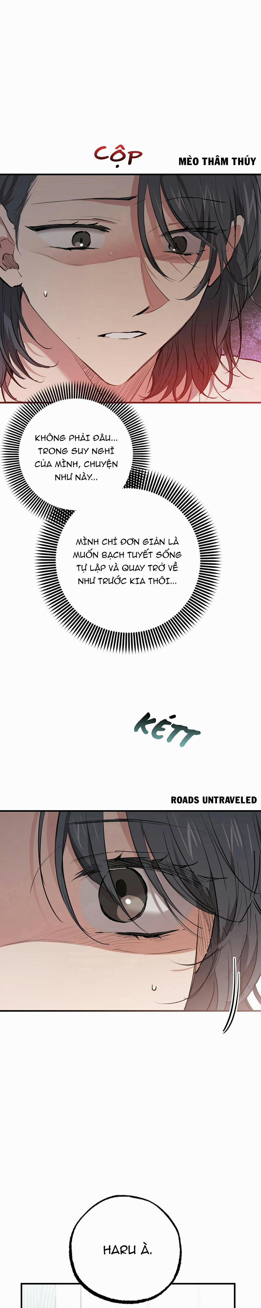 Những Chú Thỏ Của Habibi 36 trang 18