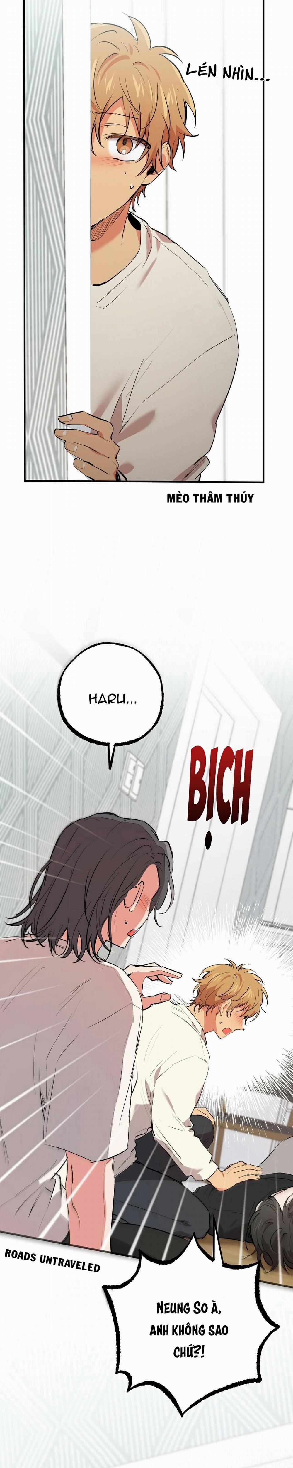 Những Chú Thỏ Của Habibi 36 trang 19