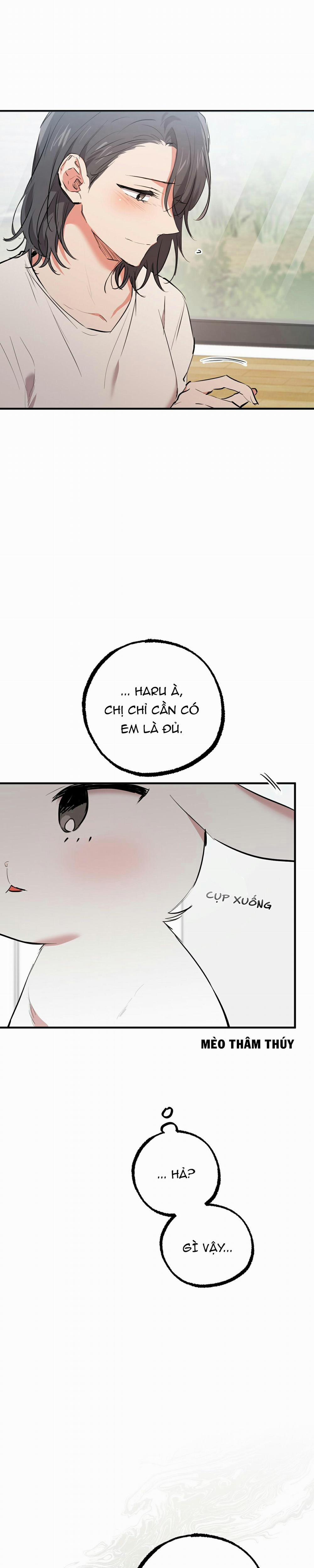 Những Chú Thỏ Của Habibi 36 trang 2